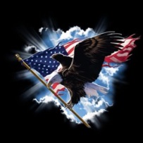 Image - Eagle &amp; Flag