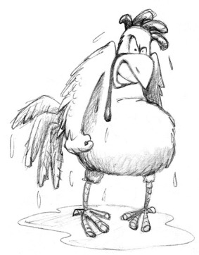 Angry Wet Chicken